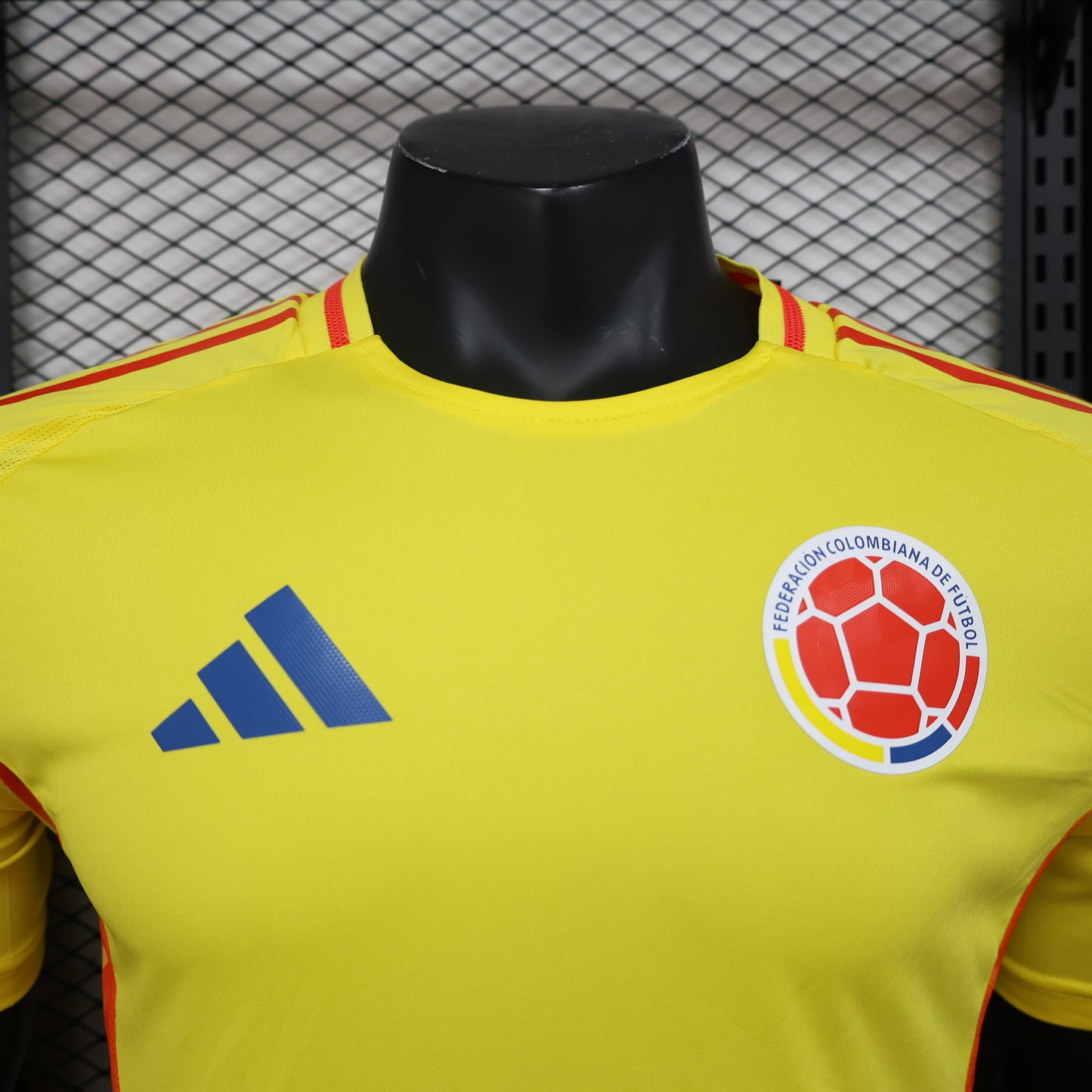 Colombia 2024 Home