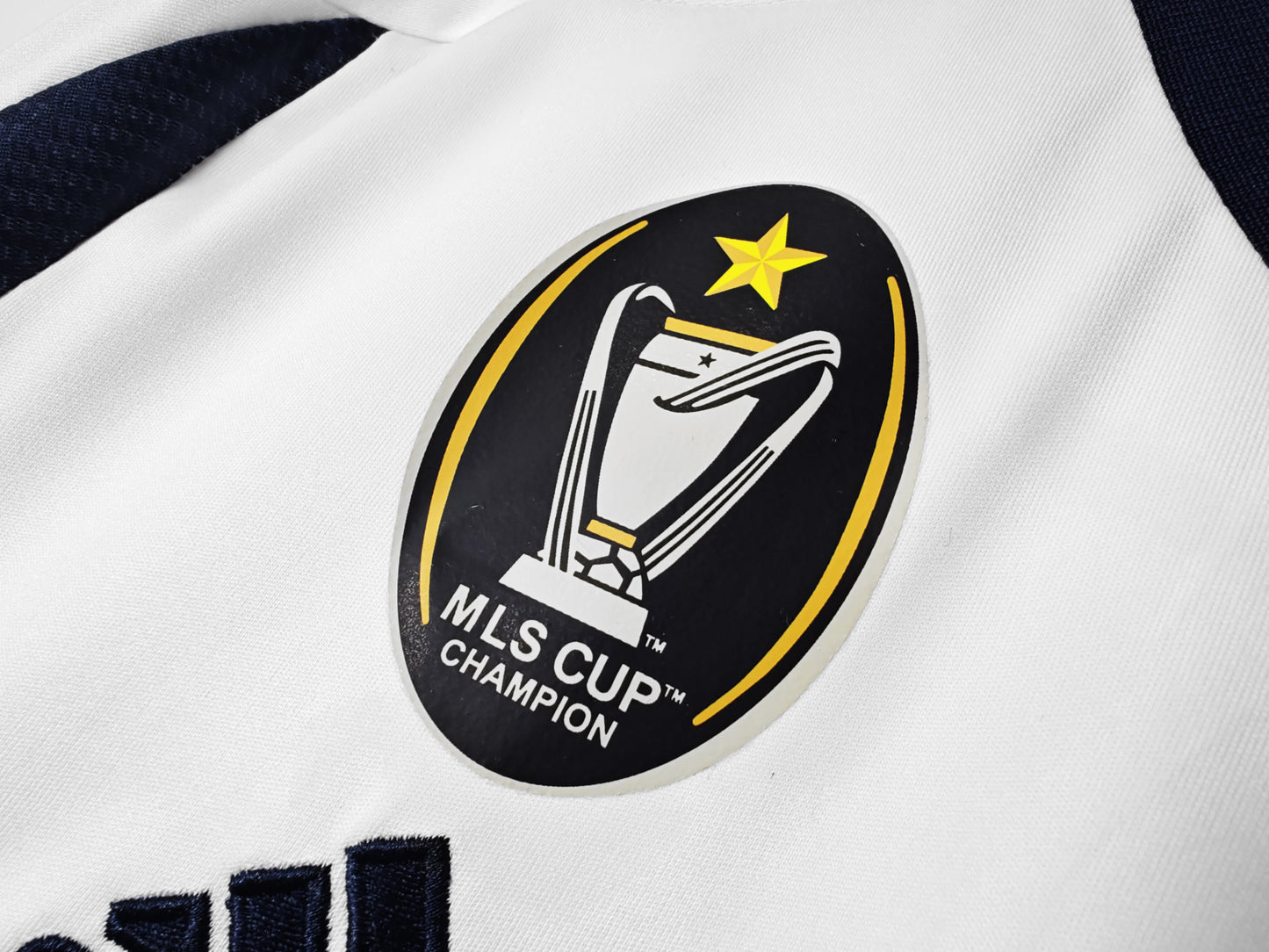 LA Galaxy 2012/2013 Home