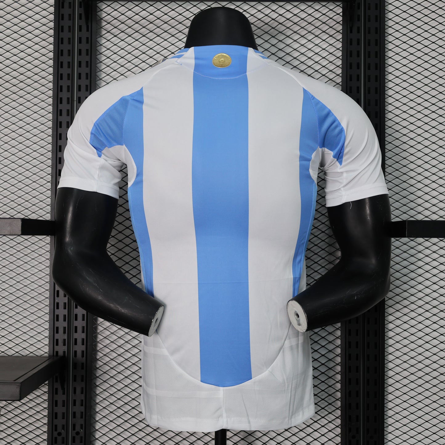 Argentina 2024 Home