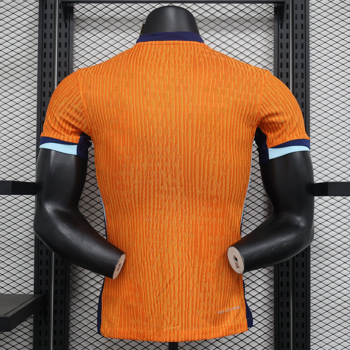 Netherlands 2024 Home