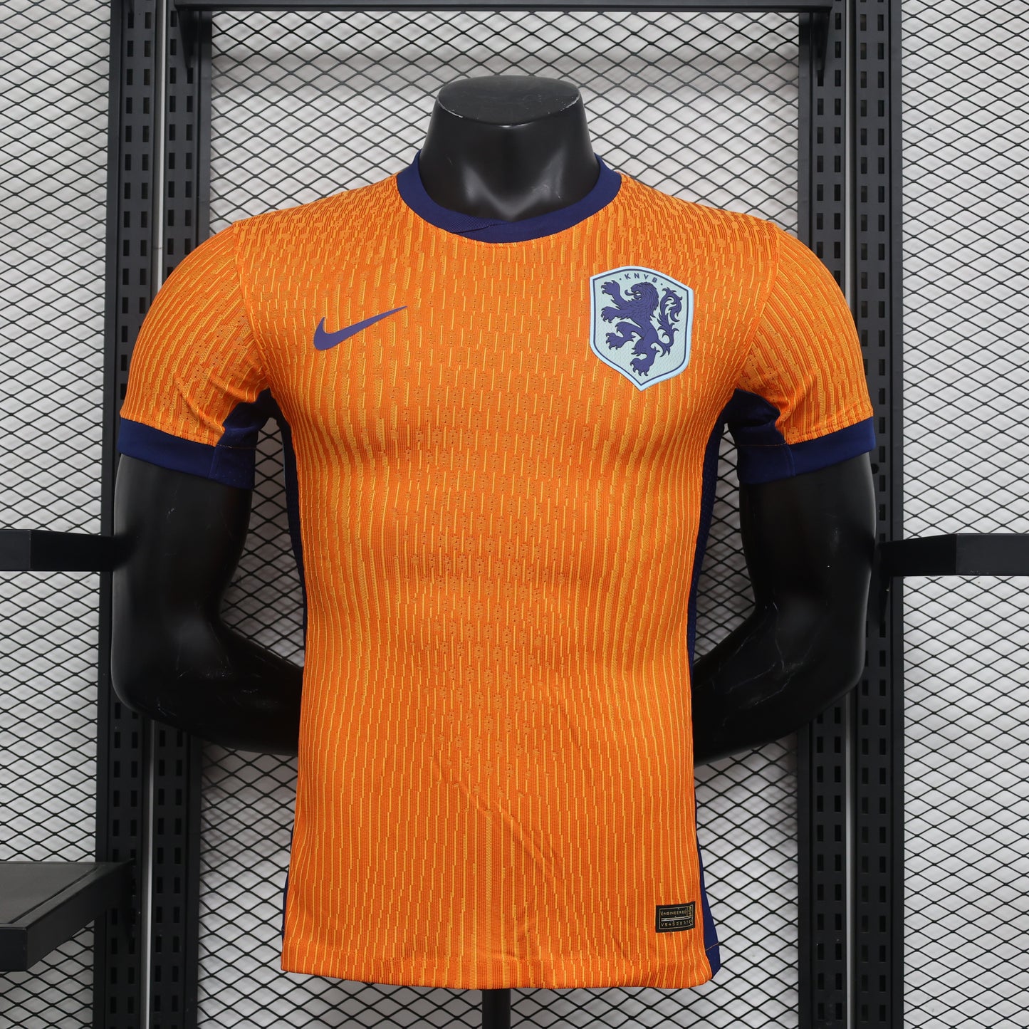 Netherlands 2024 Home