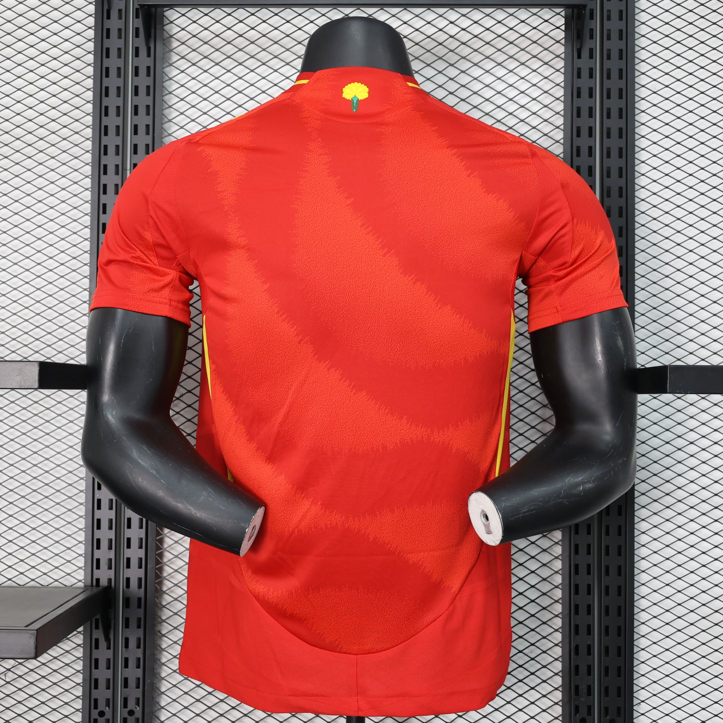 Spain 2024 Home